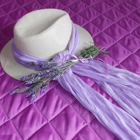 Lavender House Country house