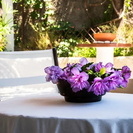 Country house Lavender House Achilleion